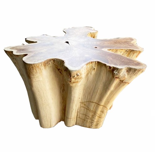 Teak stump coffee - 33”,